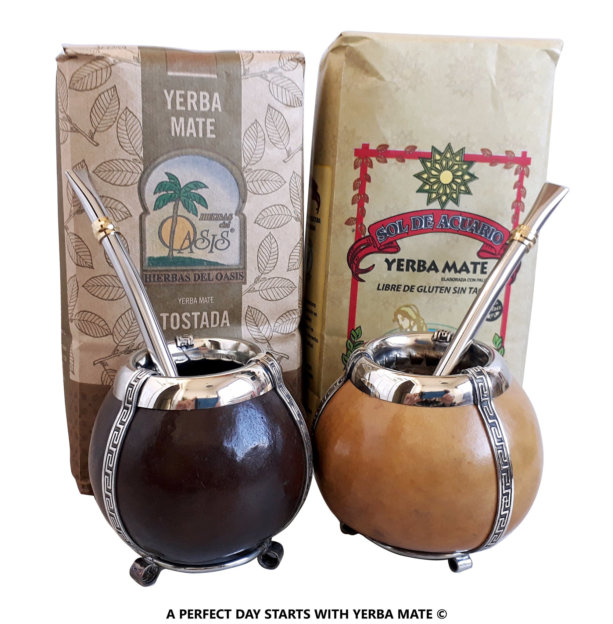 Complete Yerba Mate Kit for Starters - Stainless-Steel Mate Cup 2 Bombillas