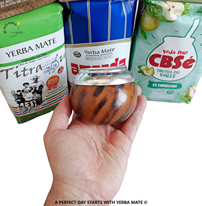 6 Yerba Mate Bags (ALL TYPES) Sample Kit – Mate Gourd & 2 Bombillas
